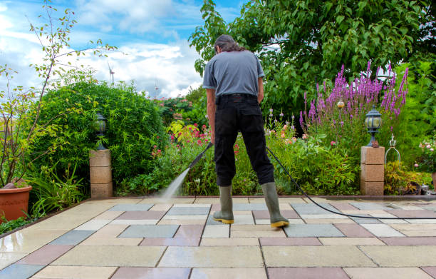 Best Sidewalk and Walkway Cleaning  in Harlan, IA